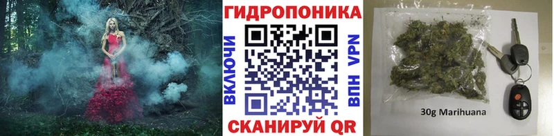 Шишки марихуана VHQ  Снежногорск 